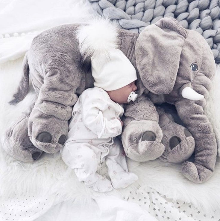 Baby & Kids